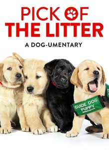 "The Pick of the Litter: A Dog-umentary" is the title at the top with four 8 week old puppies sitting side by side looking incredibly adorable.  One wears a jacket reading "Guide Dog Puppy" with the Guide dogs dot com website address underneath.
